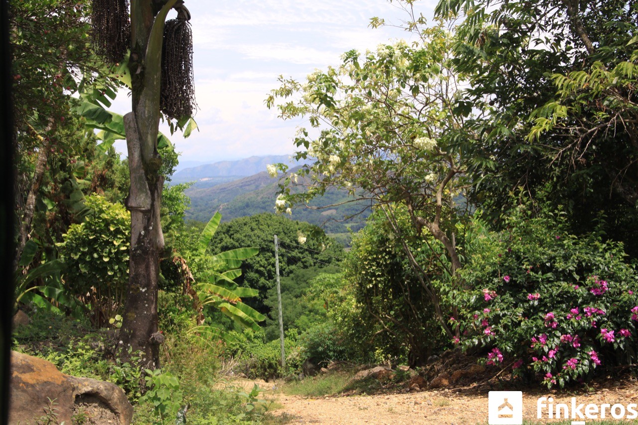 Summerland – finca en venta en Melgar, Tolima